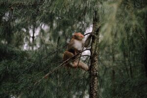 Image objects of design.co.uk 805 1745989375448